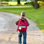 Il contributo del CePDI al progetto EDU Valley